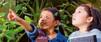Gold Awad Girl Scouts image description unavailable
