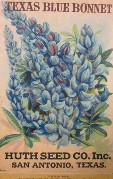 1920s image of Texas Bluebonnet Huth Seed