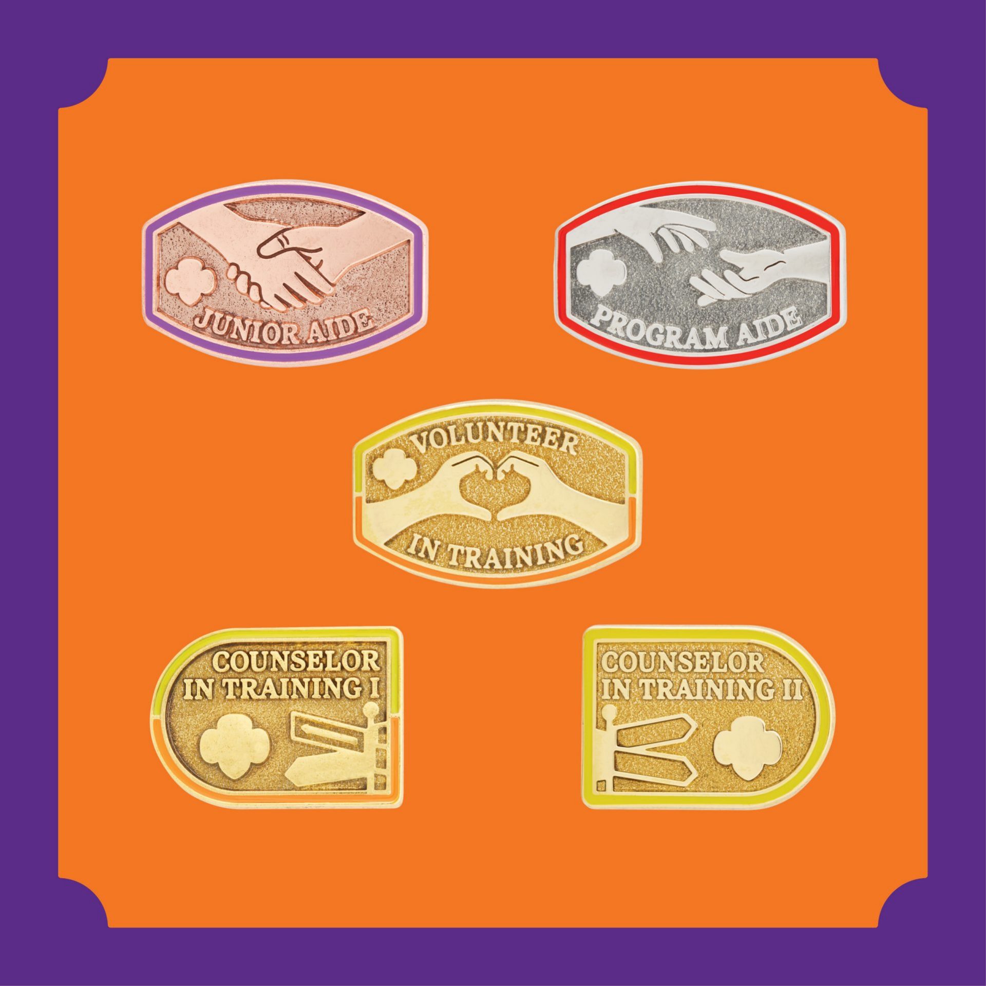 image of teaching leadership award pins